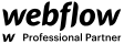 Webflow Professional Partner badge.